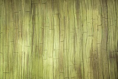 Textured Wall Finish